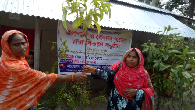 Tree plant distribution